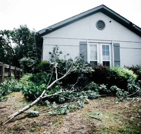 Expert d'assuré après une catastrophe naturelle